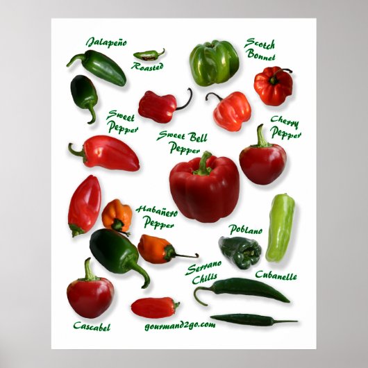 Chili Pepper Varieties Poster (Voorkant)