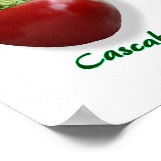 Chili Pepper Varieties Poster (Hoek)