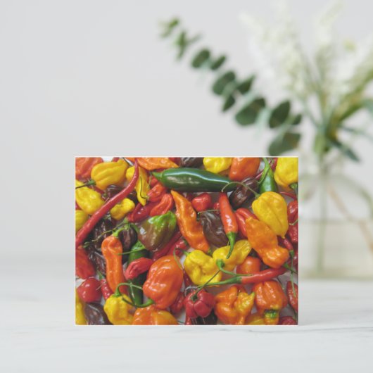 Chili Pile Briefkaart (Staand voorkant)