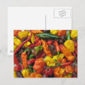 Chili Pile Briefkaart (Voorkant / Achterkant)
