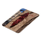 Chili Ristras Santa Fe New Mexico Magnet Magneet (Linkerzijde)