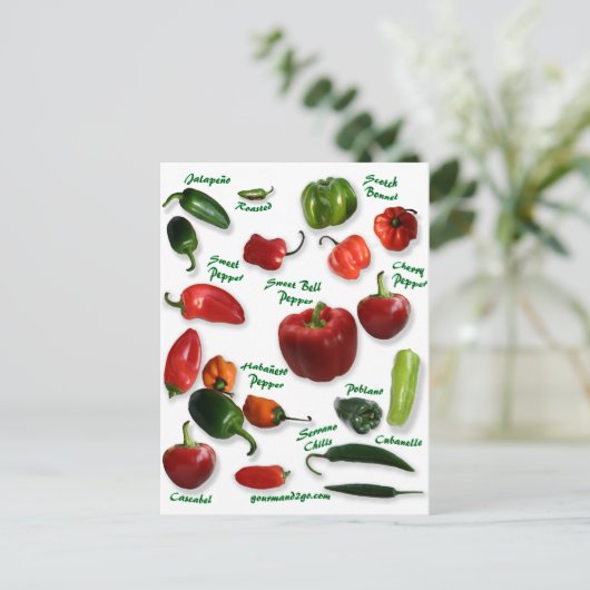 Chili Varieties Briefkaart (Staand voorkant)