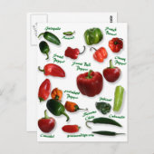 Chili Varieties Briefkaart (Voorkant / Achterkant)