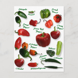 Chili Varieties Briefkaart