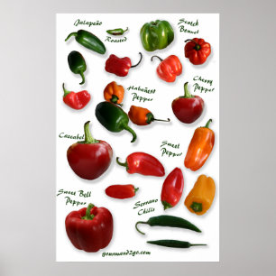 Chili Varieties Wall Art Poster