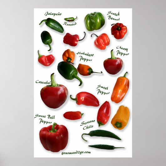 Chili Varieties Wall Art Poster (Voorkant)