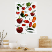 Chili Varieties Wall Art Poster (Keuken)