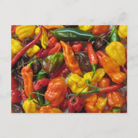 Chilihead-kaart Briefkaart (Voorkant)