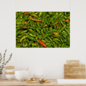 Chili's Te Koop Op Markt Poster (Keuken)