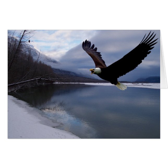 Chilkat Eagle Reserve Card (Voorkant Horizontaal)