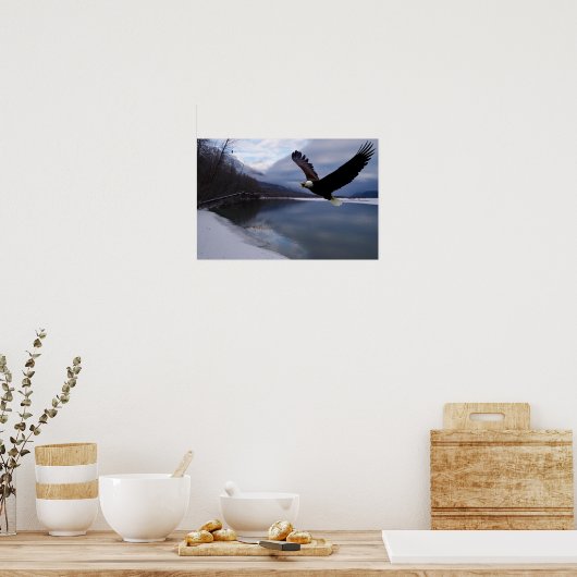 Chilkat Eagle Reserve Poster (Keuken)