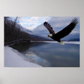 Chilkat Eagle Reserve Poster (Voorkant)