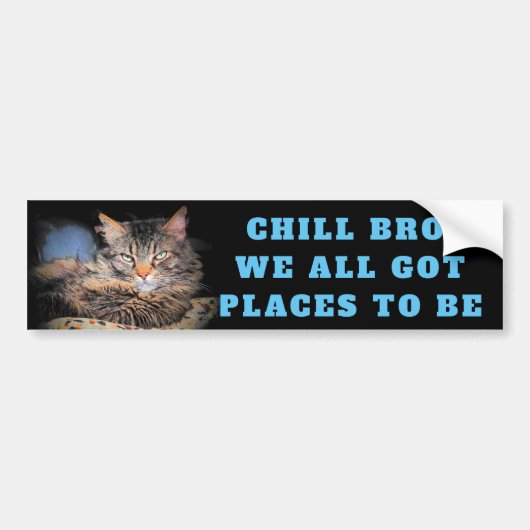 Chill Bro, we hebben allemaal plaatsen om een katt Bumpersticker (Voorkant)