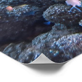 Chill Hawksbill Poster (Hoek)