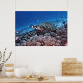 Chill Hawksbill Poster (Keuken)