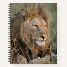 Chill Lion Personalize Name Notitieboek