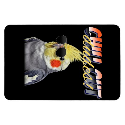 Chill Out Dudes Magneet (Horizontaal)