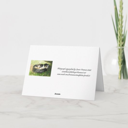 "Chill Out!" Kaart (Achterkant)