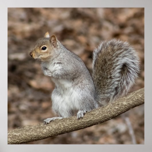 Chill Poster (Voorkant)