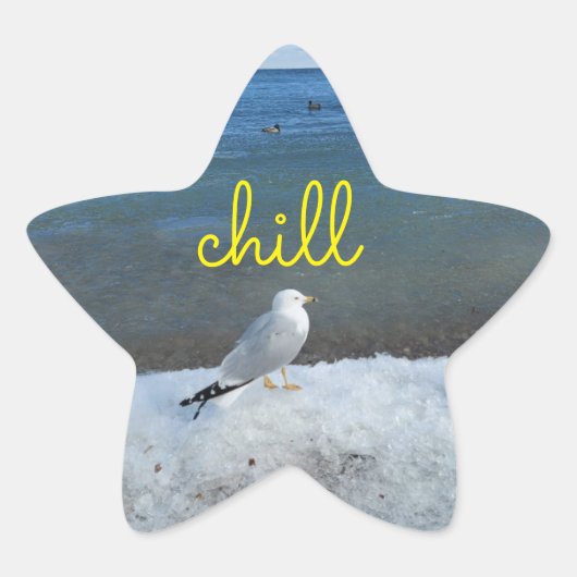 Chill Seagull: ontspant sticker (Voorkant)