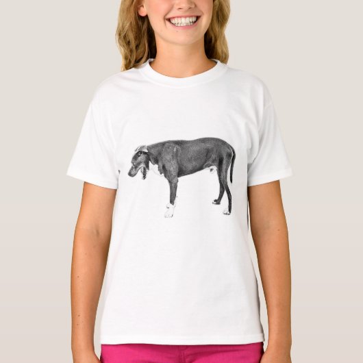 Chill Stride: Bully Mix in zwart en wit T-shirt (Voorkant)