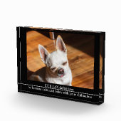 CHILLAX definition calm relax chihuahua photo text Fotoblokken (Rechts)