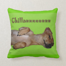 Chillaxin Chiweenie Lumbar Sierkussen