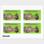 Chillaxin Chiweenie-Sticker Rechthoekige Sticker (Vel)
