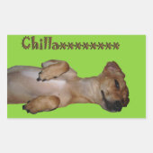 Chillaxin Chiweenie-Sticker Rechthoekige Sticker (Voorkant)