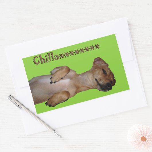 Chillaxin Chiweenie-Sticker Rechthoekige Sticker (Envelop)