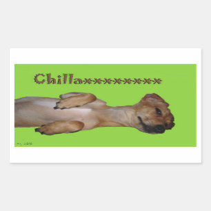 Chillaxin Chiweenie-Sticker Rechthoekige Sticker