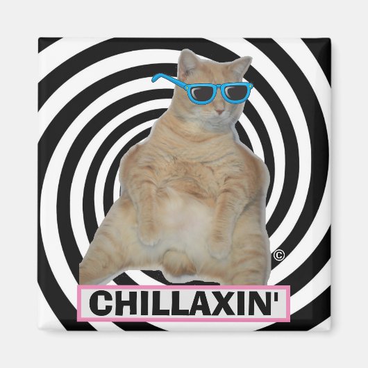 CHILLAXIN" Vette Manx Kat met Zonnebril Magneet (Voorkant)