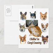 Chillin' in Corgi Briefkaart (Voorkant / Achterkant)