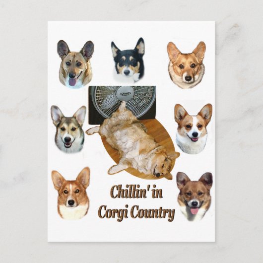 Chillin' in Corgi Briefkaart (Voorkant)