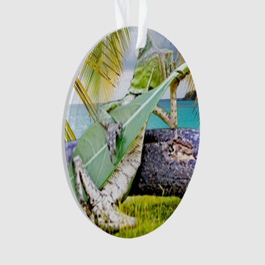 Chillin' Lizzard Ornament (voorkant)