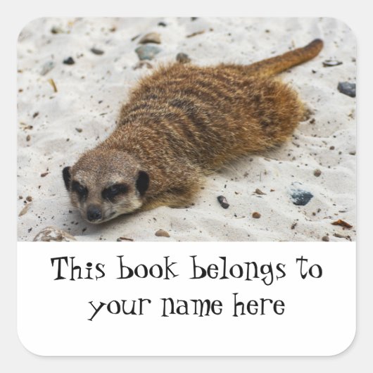 Chillin' Meerkat "Dit boek behoort tot" sticker (Voorkant)