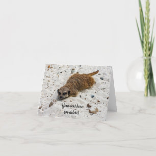 Chillin' Meerkat Folded Wenskaart Kaart