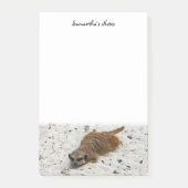 Chillin' Meerkat Post-it Notes (Voorkant)