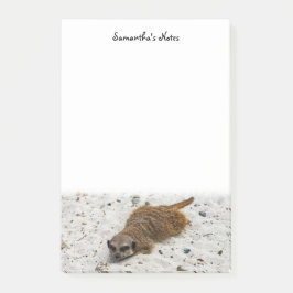 Chillin' Meerkat Post-it Notes