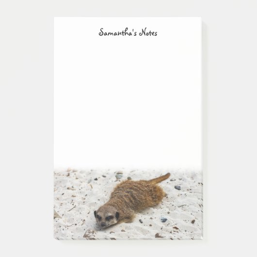 Chillin' Meerkat Post-it Notes (Voorkant)