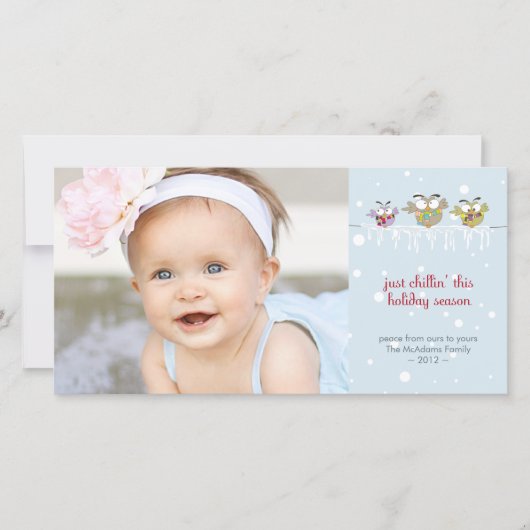 Chillin' Owls Premium 4x8-fotokaart Feestdagenkaart (Voorkant)