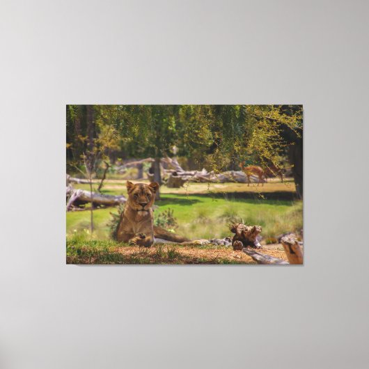 Chilline Canvas Afdruk (Voorkant)