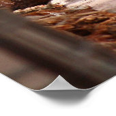 Chilline Poster (Hoek)