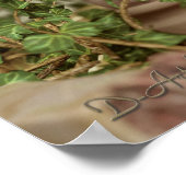 Chilling Zeus Poster (Hoek)