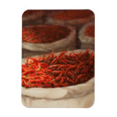 Chillis 2010 magneet (Verticaal)