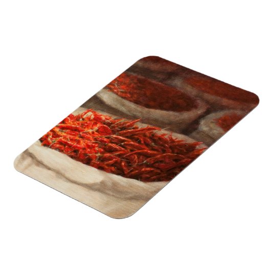 Chillis 2010 magneet (Linkerzijde)