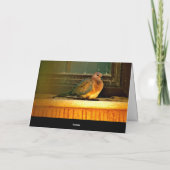 Chilly Dove Kaart (Achterkant)