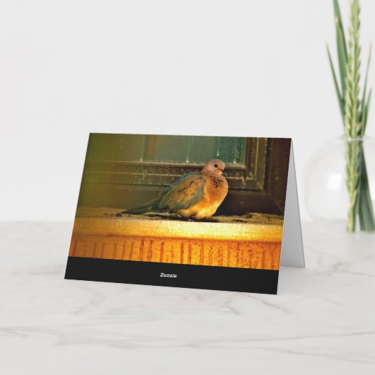 Chilly Dove Kaart (Achterkant)