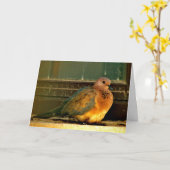 Chilly Dove Kaart (Gele Bloem)