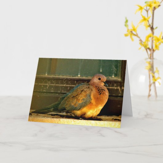 Chilly Dove Kaart (Gele Bloem)